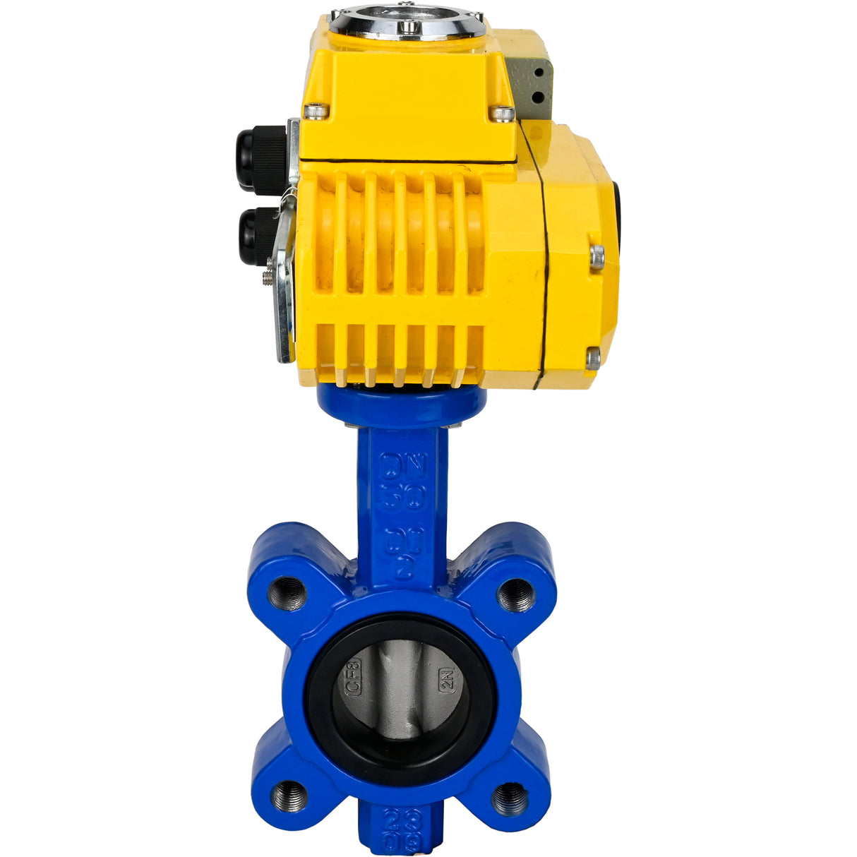 Water Butterfly Valve Elephant WBV1631N-2W-Fb-H, body material - cast iron QT450, disk material - Stainless steel AISI 304, seal - NBR, electric actuator QT-N-EM-A1-220VAC-U1 220V