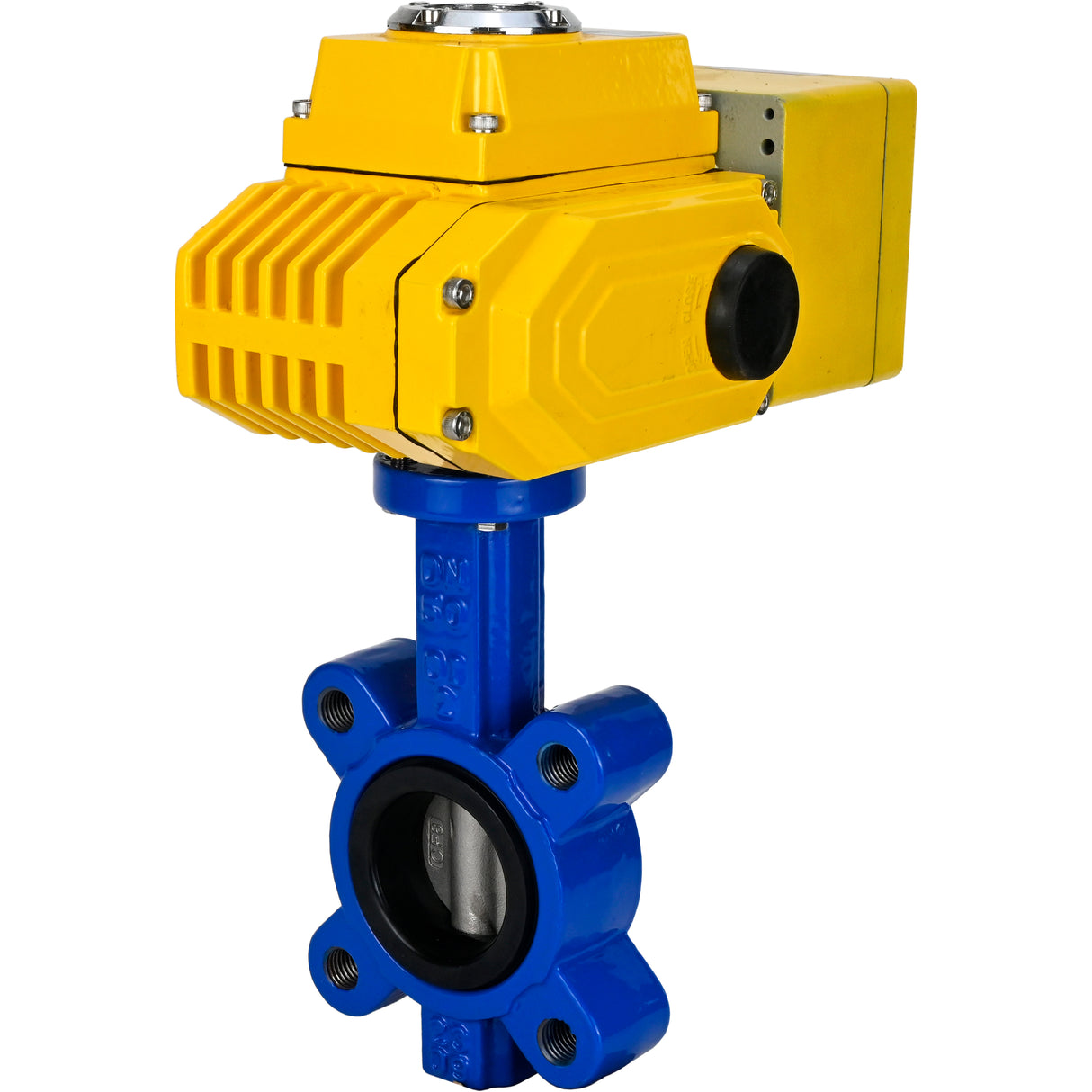 Water Butterfly Valve Elephant WBV1631N-2W-Fb-H, body material - cast iron QT450, disk material - Stainless steel AISI 304, seal - NBR, electric actuator QT-N-EM-A1-220VAC-U1 220V