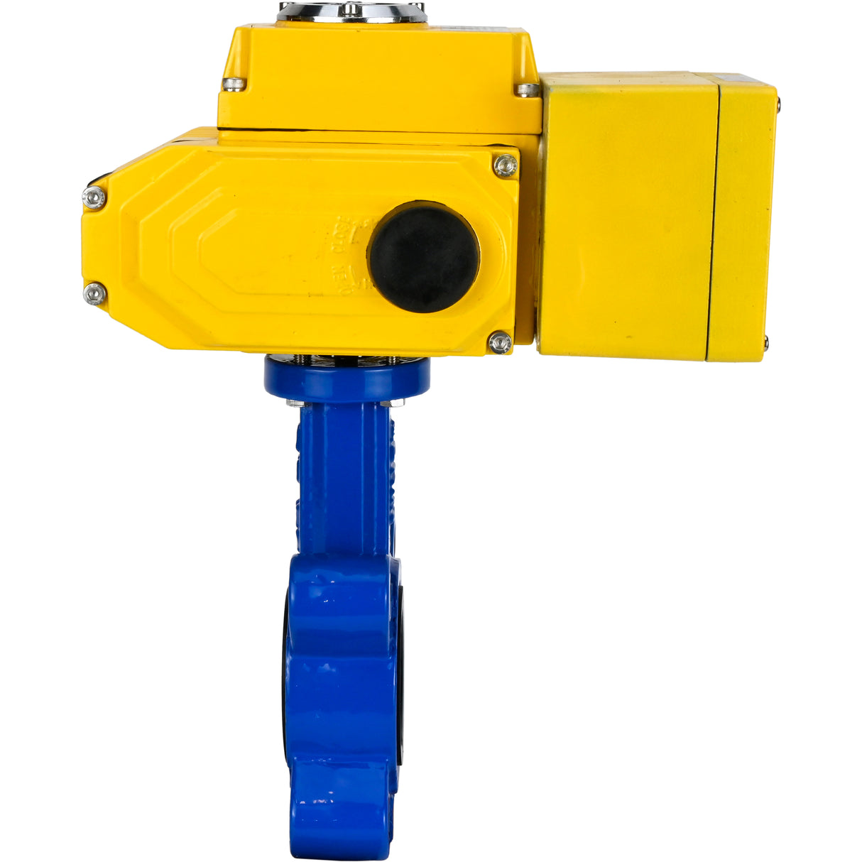 Water Butterfly Valve Elephant WBV1631N-2W-Fb-H, body material - cast iron QT450, disk material - Stainless steel AISI 304, seal - NBR, electric actuator QT-N-EM-A1-220VAC-U1 220V