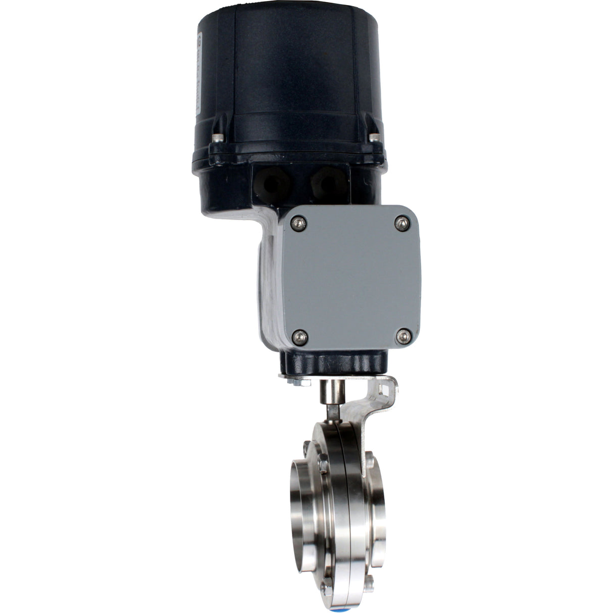 Butterfly valves Elephant WBV3131S-2W-C-H clumpy, body - food grade stainless steel AISI 304, disc - stainless steel AISI 304, seal - Silicon, with electric quarter turn actuator Elephant QTSA-N-EM-O0-220VAC