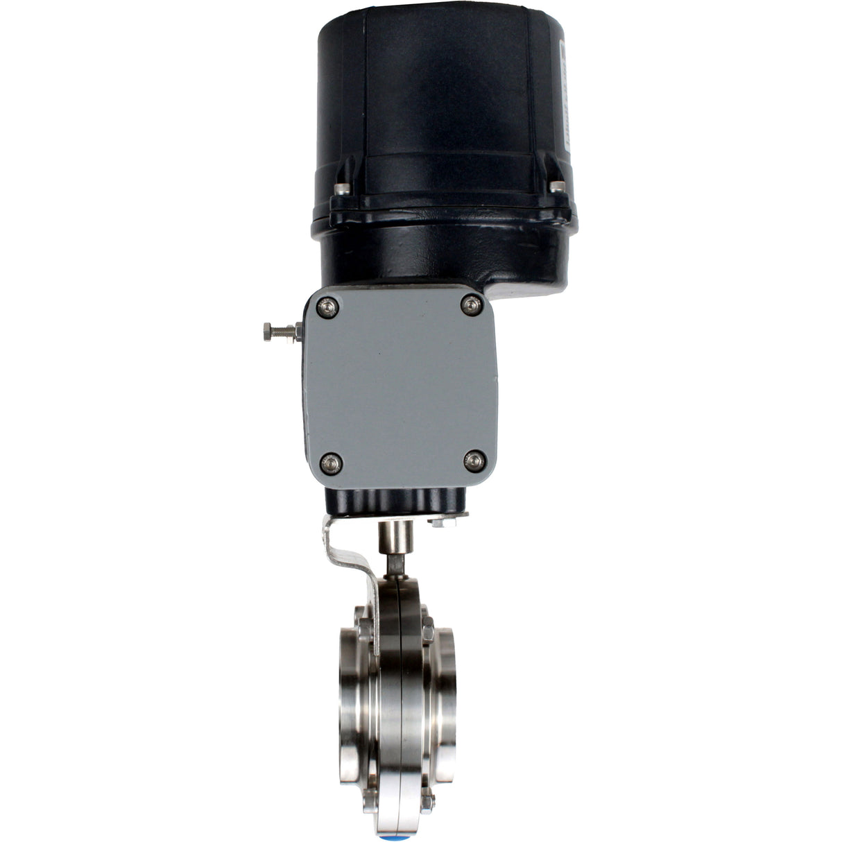 Butterfly valves Elephant WBV3131S-2W-C-H clumpy, body - food grade stainless steel AISI 304, disc - stainless steel AISI 304, seal - Silicon, with electric quarter turn actuator Elephant QTSA-N-EM-O0-220VAC