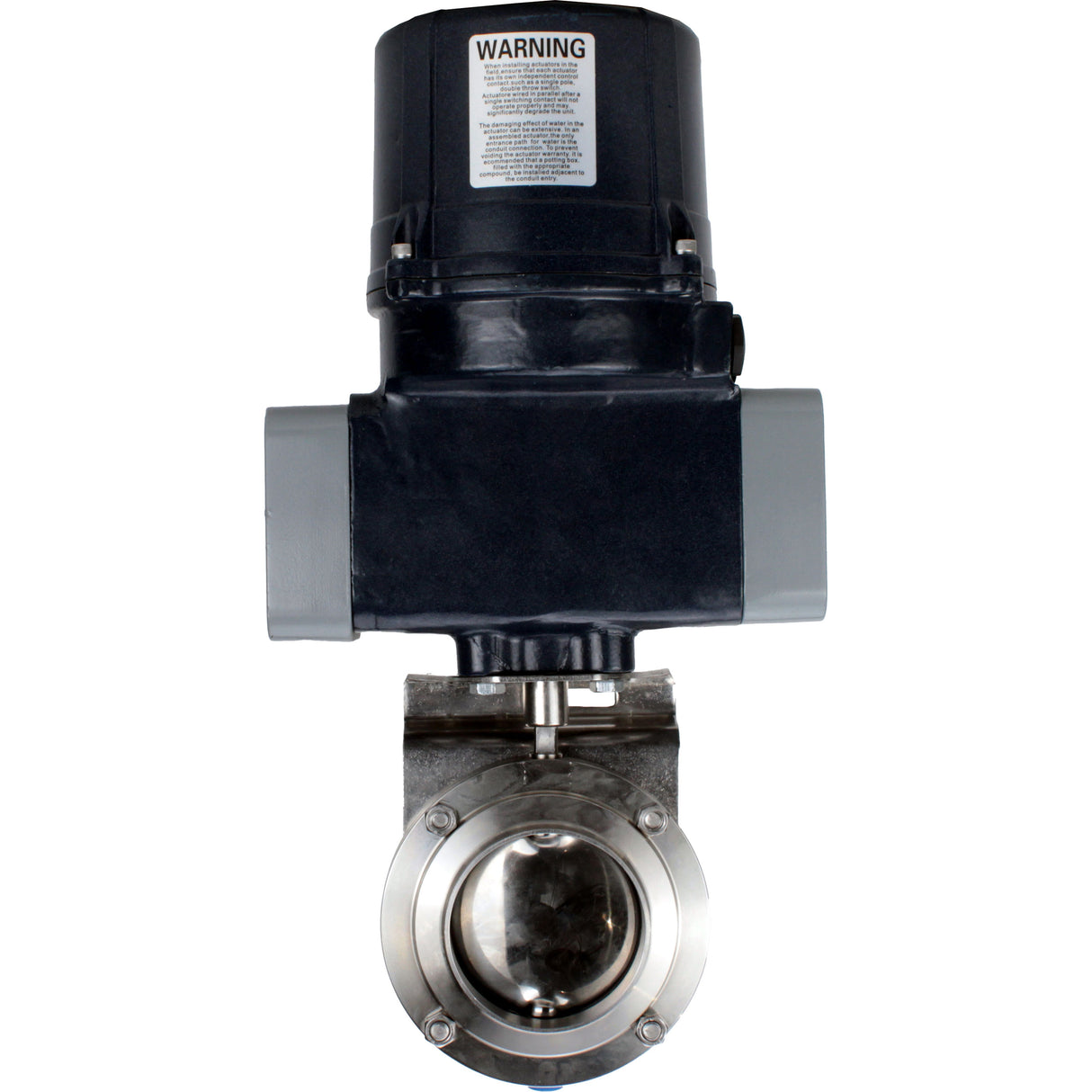 Butterfly valves Elephant WBV3131S-2W-C-H clumpy, body - food grade stainless steel AISI 304, disc - stainless steel AISI 304, seal - Silicon, with electric quarter turn actuator Elephant QTSA-N-EM-O0-220VAC