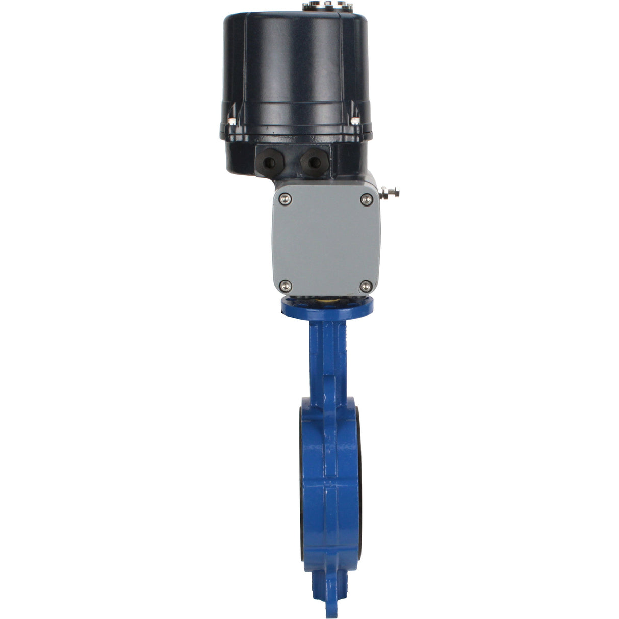 Butterfly valves Elephant WBV3432E-2W-Fb-H interflanged, body - WCB carbon steel, disc - stainless steel 316L, seal - EPDM, with electric quarter turn actuator Elephant QTSA-N-EM-O0-220VAC