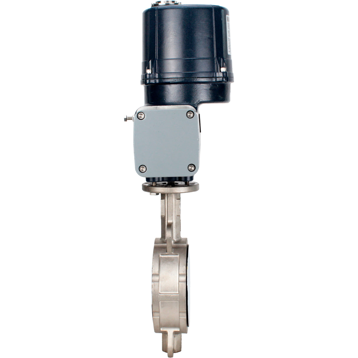 Butterfly valves Elephant WBV3232P-2W-Fb-H interflanged, body - stainless steel AISI 316L, disc - stainless steel 316L, seal - PTFE, with electric quarter turn actuator Elephant QTSA-N-EM-O0-220VAC