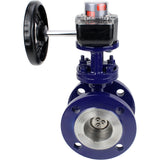 Water Butterfly Valve Elephant WBV3EX-3431M-1W-F-ISO, body material - Carbon steel, disk material - Stainless steel AISI 304, seal - Metal, gearbox HGB RQN