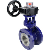 Water Butterfly Valve Elephant WBV3EX-3431M-1W-F-ISO, body material - Carbon steel, disk material - Stainless steel AISI 304, seal - Metal, gearbox HGB RQN