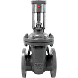 Wedge gate valve Elephant 30c964yg , body material - stainless steel AISI A10, wedge material - stainless steel AISI A216, seal - METAL, stem only