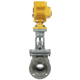 Wedge gate valve Elephant 30s941ss PSI232 flange connection, body material – steel 25L, seal material – metal/metal, electric actuator Elephant MT-110/220, 110/220V