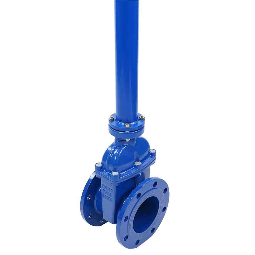 Wedge gate valve 30c939r blue Elephant-GGG50-EPDM-F4-BLUE PSI232 class 150 flange connection, with rubber lined wedge EPDM, control column L=3000 mm, electric actuator Elephant MT 110/220V