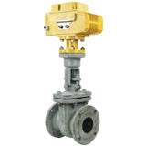 Wedge gate valve Elephant 30s941ss PSI232 flange connection, body material – steel 25L, seal material – metal/metal, electric actuator Elephant MT-110/220, 110/220V