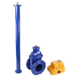 Wedge gate valve 30c939r blue Elephant-GGG50-EPDM-F4-BLUE PSI232 class 150 flange connection, with rubber lined wedge EPDM, control column L=3000 mm, electric actuator Elephant MT 110/220V