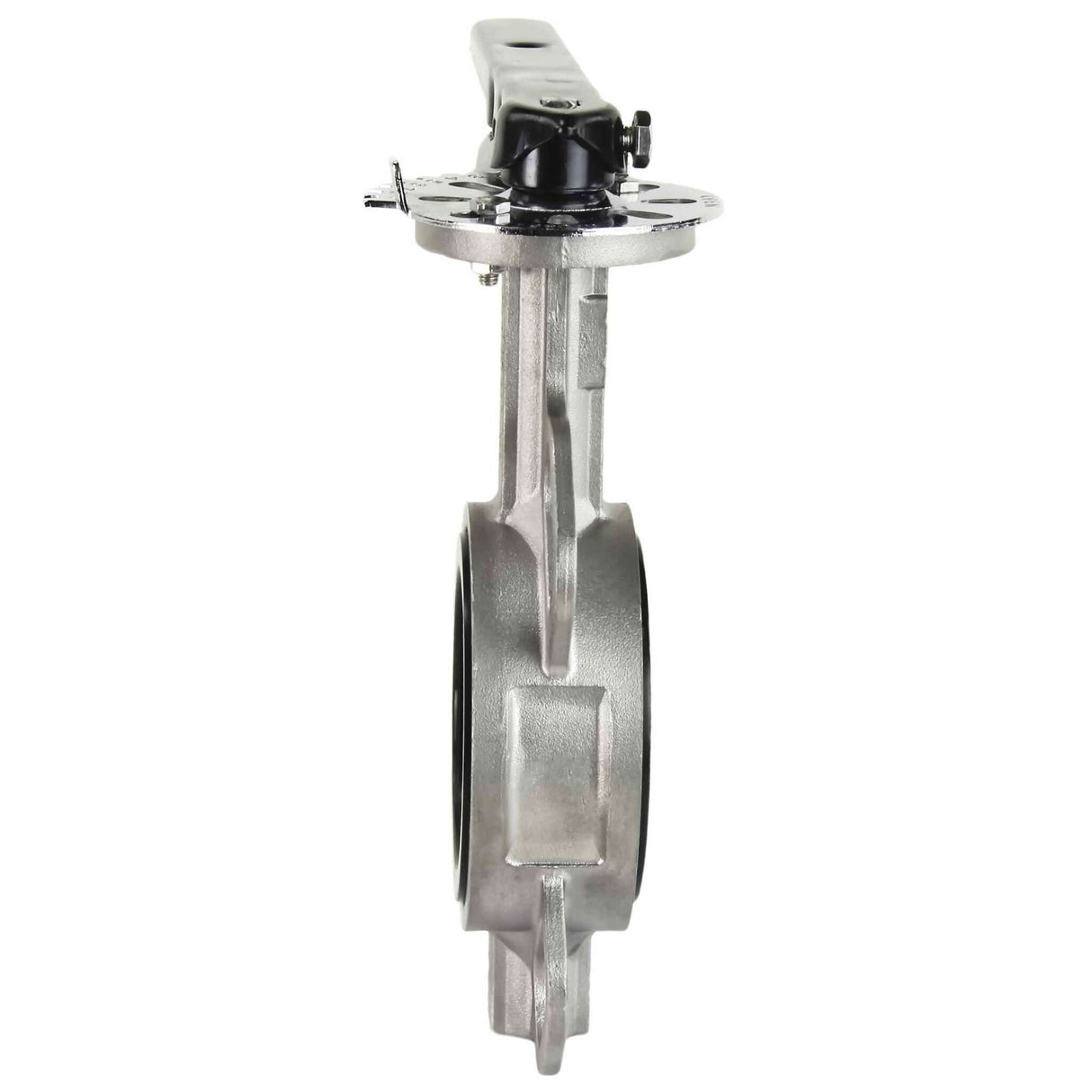 Válvula Mariposa de Agua Elefante 316L-316L-VITON 232PSI, material del cuerpo y disco - acero inoxidable 316L, sello - VITON, operada por volante