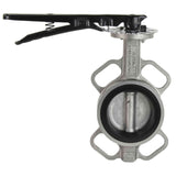 Válvula Mariposa de Agua Elefante 316L-316L-VITON 232PSI, material del cuerpo y disco - acero inoxidable 316L, sello - VITON, operada por volante